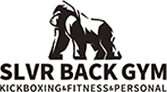 株式会社バンディーズロゴ